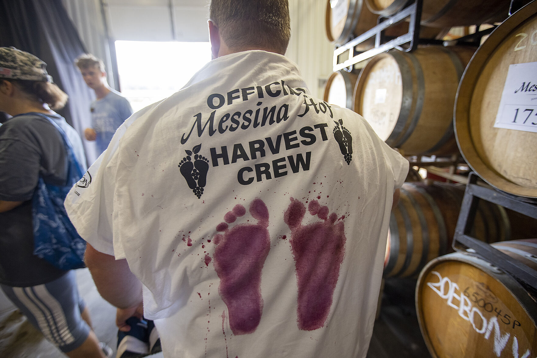 Messina Hof harvest